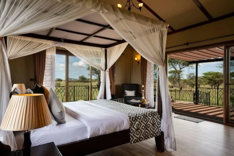 Day 2: Serengeti – 3-Day Fly-in Luxury Honeymoon Safari
